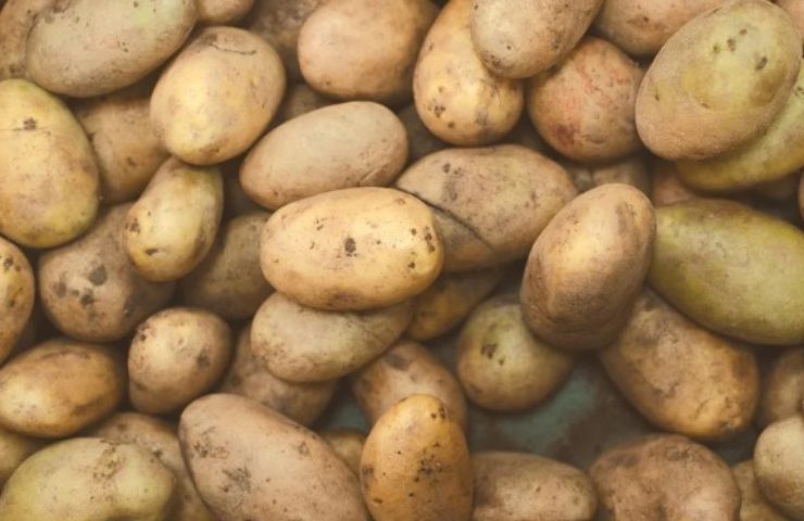 diverse patate disposte su un piano 
