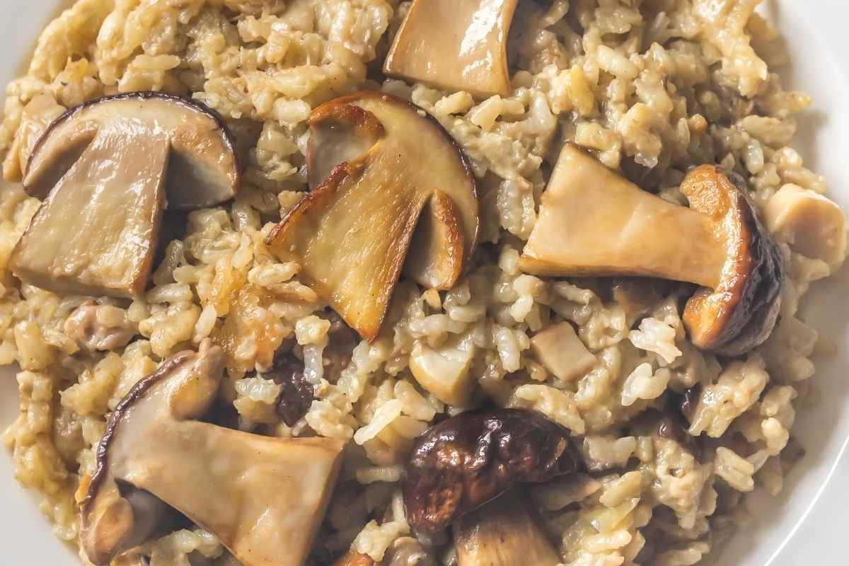 piatto di risotto con funghi
